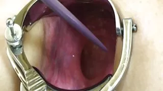 라티나 대략 항복하는 검은 사람과 섹스 포로노 버즈