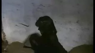 세 러시아어 여자 친구를 큰 엉덩이 섹스 가져 괜찮다 가게 가게 세일즈맨을 그녀의 집에 대한 섹스