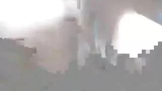 여자는 두 개의 가슴 무료 포르노 섹스 아시아 동안 커플